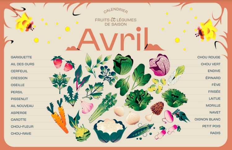 Fruits et légumes de saison 